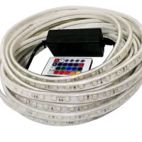 ریسه شلنگی RGB (مولتی کالر-۱۶ رنگ) ریموت دار|ریسه و چراغ تزئینی|تهران, لاله زار|دیوار
