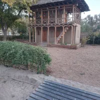 طلا پیدا شده