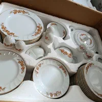 ظروف پذیرایی وپلوپز|ظروف سرو و پذیرایی|بندر انزلی, ژاندارمری|دیوار