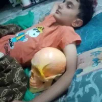 جمجمه بتنی دکوری آناتومیک زن و مرد|مجسمه، تندیس، ماکت|تهران, شهرک پردیسان|دیوار