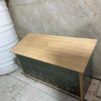 اکواریوم