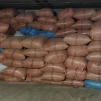 یونجه و بلوط|خدمات باغبانی و درختکاری|دهدشت, |دیوار