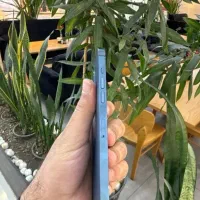 آیفون 12 پرومکس pro max|موبایل|فولادشهر, B4|دیوار