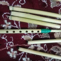 نی تکی گام شور