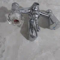 شیرحرمی