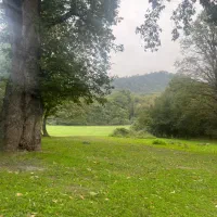 جذب پرستار و خدمتکار برای خانم مسن