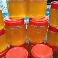 گم شد دیروز خیابان کوثر وسایل گرفتیم اما پا