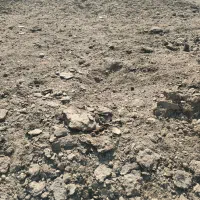 کود حیوانی (اسب)