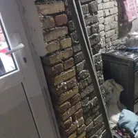 دسته بیل بیدمشک