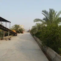 رهن و اجاره سوله ۱۶۰۰ متری و ۲۰۰۰ متری|اجارهٔ دفتر صنعتی، کشاورزی، تجاری|اهواز, فدک|دیوار