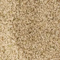 برنچ چمپا|خوردنی و آشامیدنی|فلارد, |دیوار