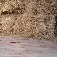 کلش و کاه و سرچین