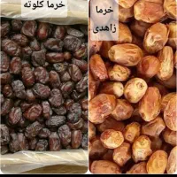 قند شکر روغن سنجد پسته گردو زرشک کشمش خرما تخمه|خوردنی و آشامیدنی|مشهد, هفت تیر (حافظ)|دیوار