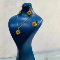 نیمست بدون اجرت