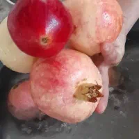 رب انار درجه یک از انار درجه یک|خوردنی و آشامیدنی|شیراز, معالیآباد|دیوار