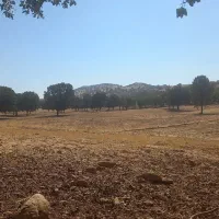 زمین