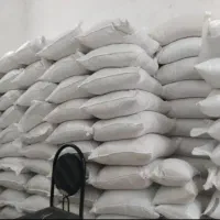 طارم هاشمی
