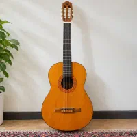 گیتار matapoor