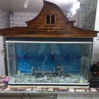 اکواریوم شیشه خم 1متری
