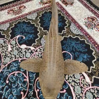 مجسمه ماهی