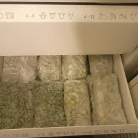 فریزر آ گ|یخچال و فریزر|بندر انزلی, ساحل قو|دیوار