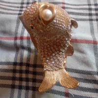 جای جواهری ماهی زیبا