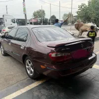 ماکسیما آلبالویی مدل ۱۳۹۰ بدون رنگ کم کار واقعی|خودرو سواری و وانت|تهران, تختی|دیوار