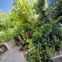 خانه ویلایی یک طبقه نیم دوبلکس  دربست دوبر|فروش خانه و ویلا|صدرا-فارس, |دیوار
