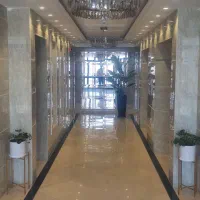 فاز یازده زون دو نوار طلائی