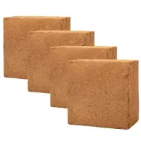کوکپیت هند و سریلانکا