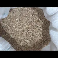 گندم تمیز