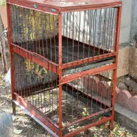 مرغ قفس آهنی لاری مرغ خروس برهما بوقلمون|حیوانات مزرعه|کرج, شهرک سهرابیه|دیوار