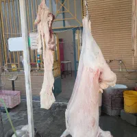 گوشت شک خورشتی کیلوی ۵۵۰