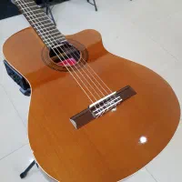 استخدام مدرس و نوازنده گیتار