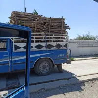 خریدارمرکبات ریشه مرکبات اکالیتوس وغیره|خدمات باغبانی و درختکاری|دوگنبدان, |دیوار