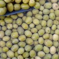 زیتون کنسروی امساله طارم(اعلاء)|خوردنی و آشامیدنی|طارم, |دیوار