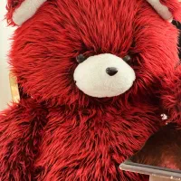 خرس روز زن و دختر و ولنتاین|اسباببازی|تبریز, |دیوار