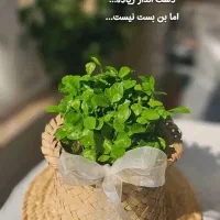 وام خانگی