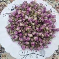 غنچه گل محمدی