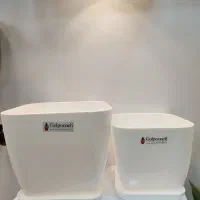 گلدان و وسایل گل و گیاه با ارسال رایگان|گل و گیاه طبیعی|پیر بکران, |دیوار