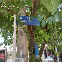 مشارکت  یا تهاتر  نمی کنیم  فقط  فروش  کاملاً  نقد|مشارکت در ساخت املاک|شیراز, بعثت|دیوار