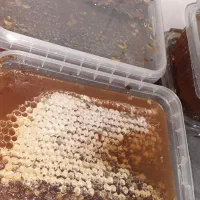 شهد کوهی|خوردنی و آشامیدنی|رشت, حمیدیان|دیوار