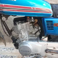 تعدادی فنچ شکلاتی روی تخم جوجه