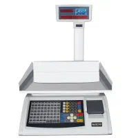 ترازو محک/کارین/توزین صدر/باسکول ۳۰۰k