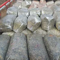 توفاله چقندر