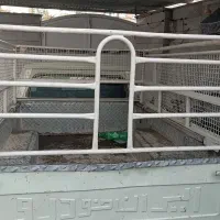 پیکان وانت|خودرو سواری و وانت|بیرجند, |دیوار