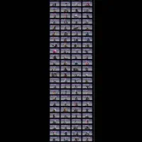 اکانت کالاف