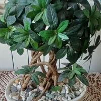 گل بن سای مصنوعی|گل مصنوعی|ساری, |دیوار