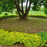 زمین ۱۰۸متری سند دار گلسار کوچه۱۷پستک