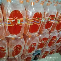 نوشابه و دلستر